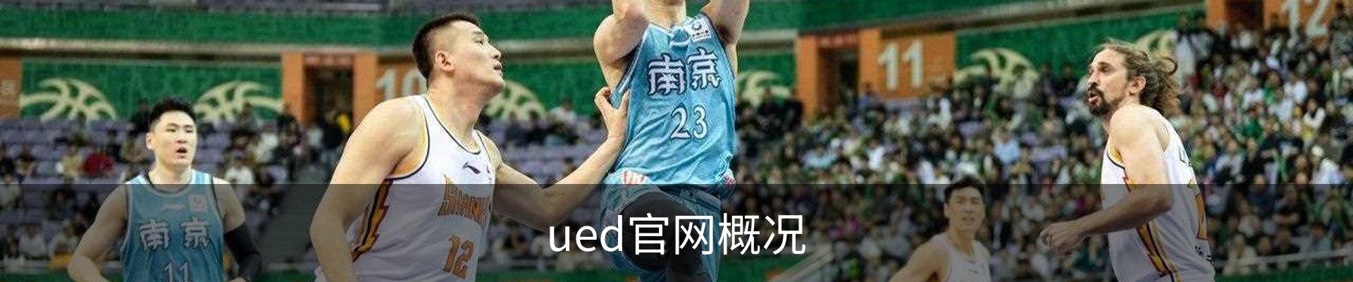 ued官网概况
